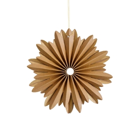 Golden Sand Hanging Star Ornament H10cm